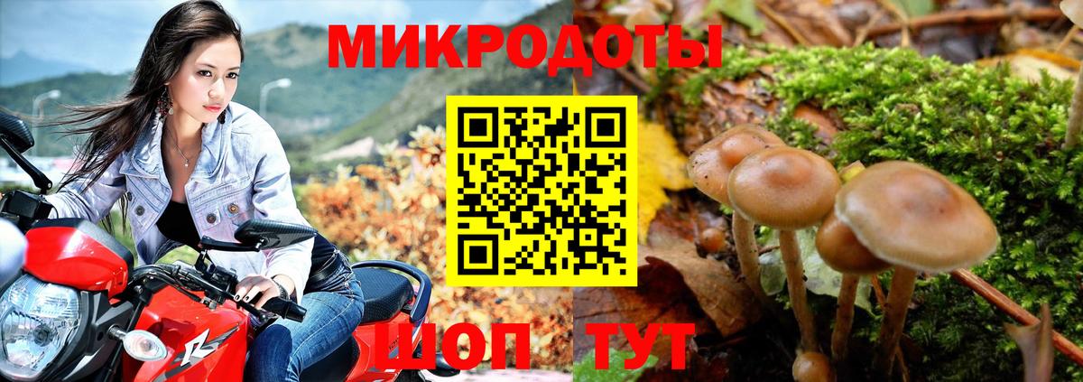 Ишим  где найти   Вход с VPN  Псилоцибиновые грибы GOLDEN TEACHER 